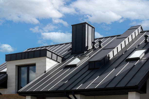 Best Skylight Installation and Repair  in Sartell, MN